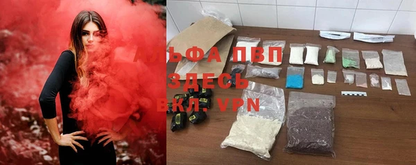 индика Алексеевка