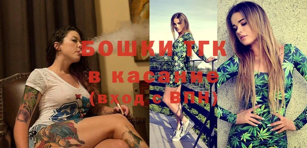 ешки Алексин
