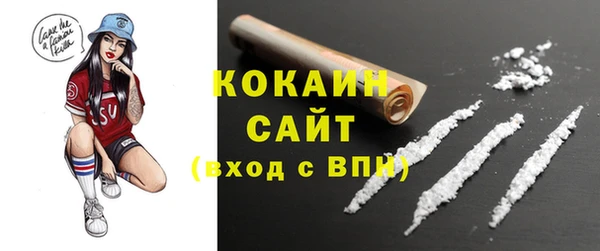 ешки Алексин