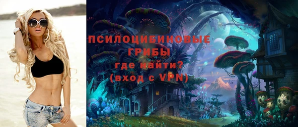 сатива Алзамай