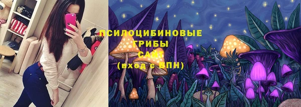 сатива Алзамай