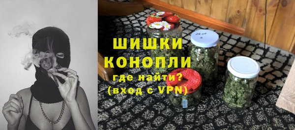 ешки Алексин