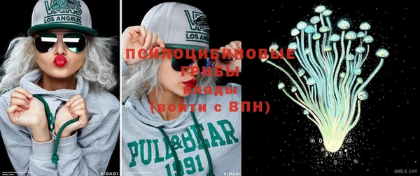 индика Алексеевка